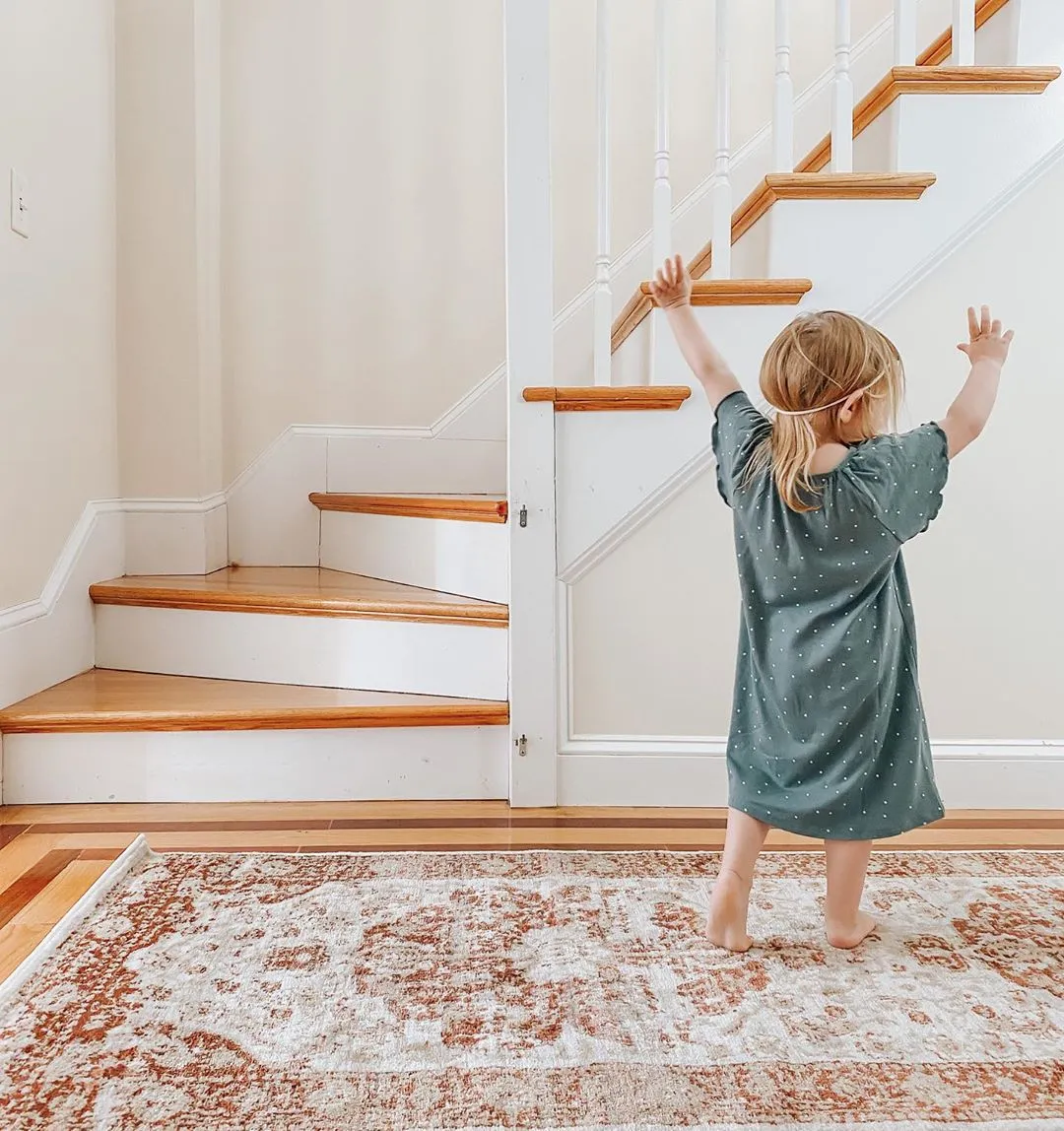 Maxwell Copper Vintage Modern Rug